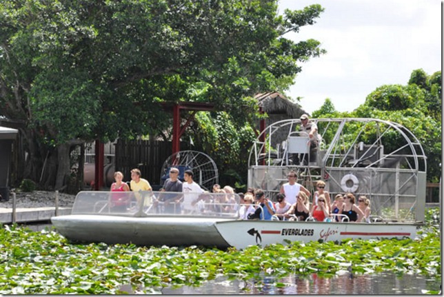 everglades-boat-tour_54_990x660_201405311553