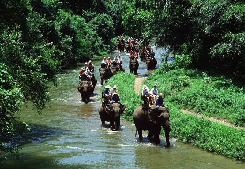 Turismo-en-Tailandia-Elefantes