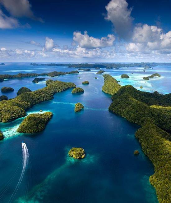 how-to-get-to-palau-550x654